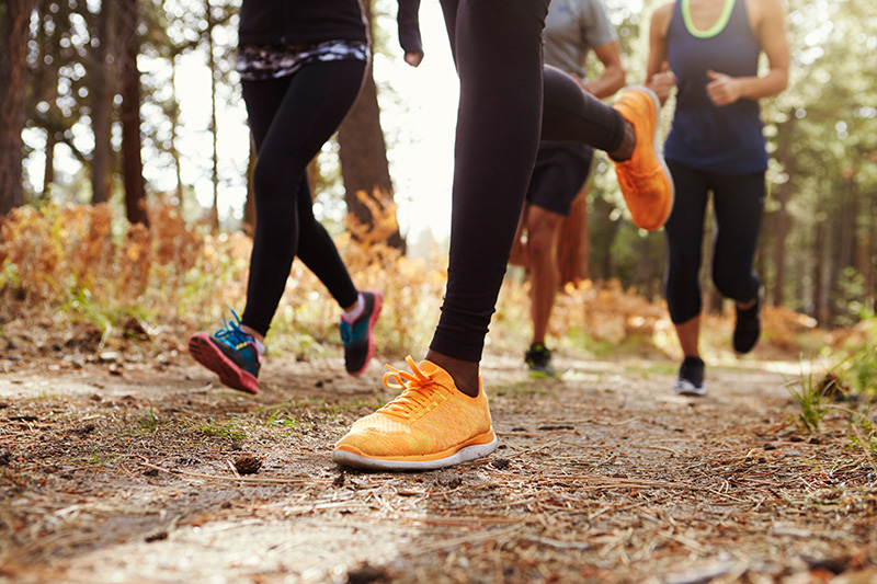 A group of four people jog through the woods together